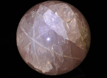 ピンクメタモルフォーゼス(スター)(径260mm)