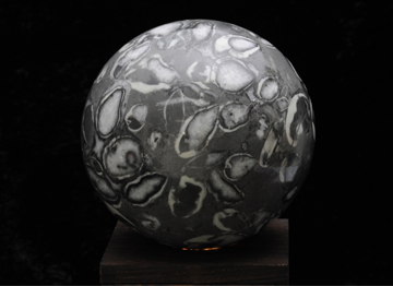 オルソセラス(径210mm)