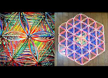 ストーンライフ - 6