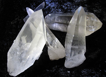 ブラジルレムリアンシード